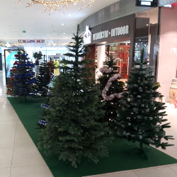 Stromart.sk predajňa OC CASSOVIA Košice